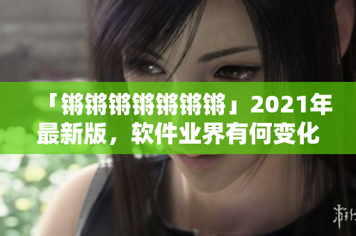 「锵锵锵锵锵锵锵」2021年最新版，软件业界有何变化？