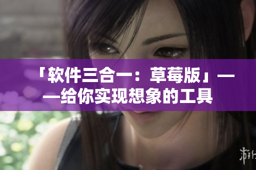 「软件三合一：草莓版」——给你实现想象的工具