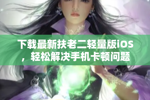 下载最新扶老二轻量版iOS，轻松解决手机卡顿问题