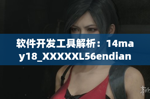 软件开发工具解析：14may18_XXXXXL56endian(1)