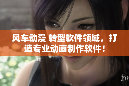 风车动漫 转型软件领域，打造专业动画制作软件！