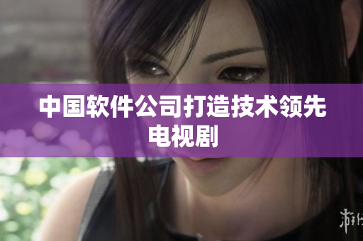 中国软件公司打造技术领先电视剧