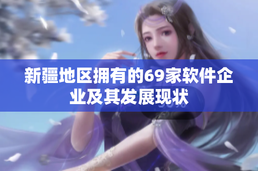 新疆地区拥有的69家软件企业及其发展现状