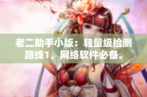 老二助手小版：轻量级检测路线1，网络软件必备。