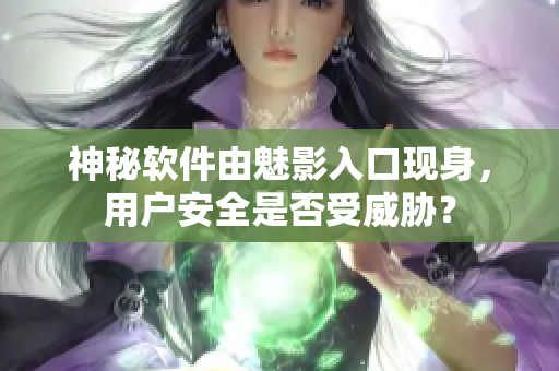 神秘软件由魅影入口现身，用户安全是否受威胁？