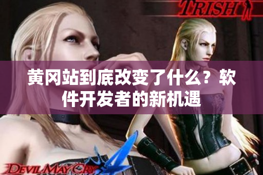 黄冈站到底改变了什么？软件开发者的新机遇