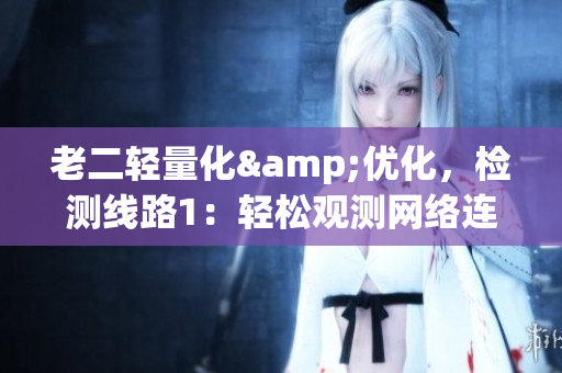 老二轻量化&优化，检测线路1：轻松观测网络连接情况