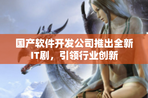 国产软件开发公司推出全新IT剧，引领行业创新
