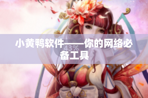 小黄鸭软件——你的网络必备工具