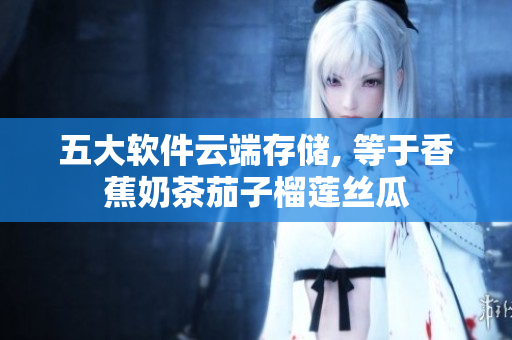 五大软件云端存储, 等于香蕉奶茶茄子榴莲丝瓜