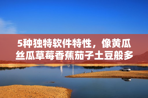 5种独特软件特性，像黄瓜丝瓜草莓香蕉茄子土豆般多样