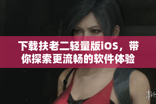 下载扶老二轻量版iOS，带你探索更流畅的软件体验