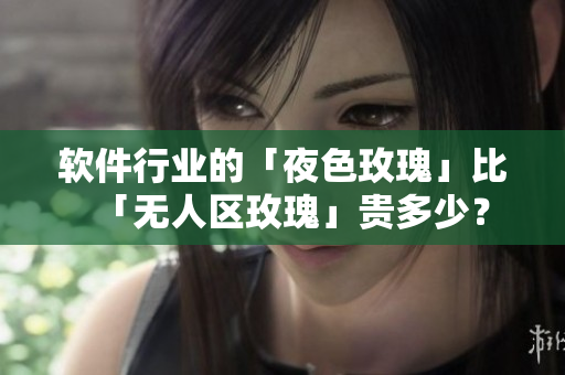 软件行业的「夜色玫瑰」比「无人区玫瑰」贵多少？
