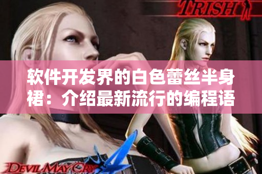 软件开发界的白色蕾丝半身裙：介绍最新流行的编程语言