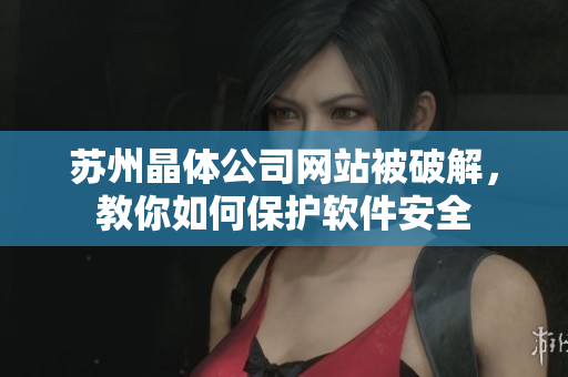苏州晶体公司网站被破解，教你如何保护软件安全