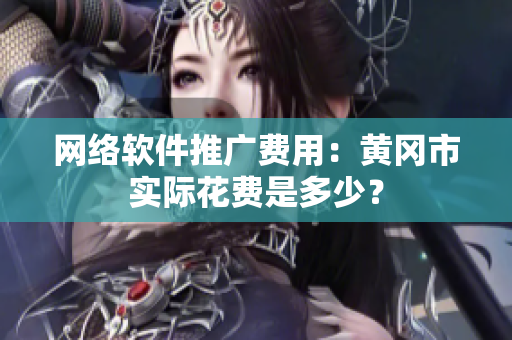 网络软件推广费用：黄冈市实际花费是多少？