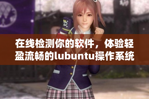 在线检测你的软件，体验轻盈流畅的lubuntu操作系统