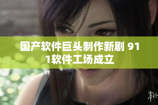 国产软件巨头制作新剧 911软件工场成立
