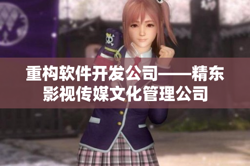 重构软件开发公司——精东影视传媒文化管理公司
