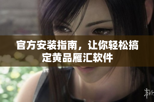 官方安装指南，让你轻松搞定黄品雁汇软件