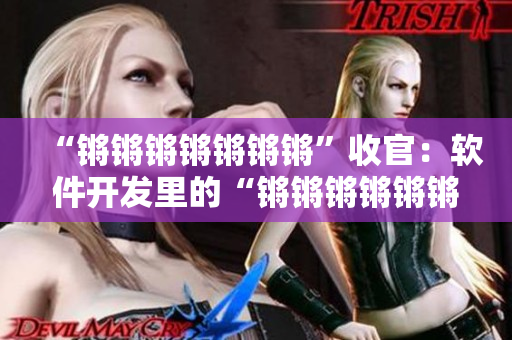 “锵锵锵锵锵锵锵”收官：软件开发里的“锵锵锵锵锵锵锵”们