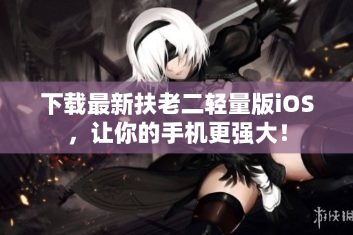 下载最新扶老二轻量版iOS，让你的手机更强大！