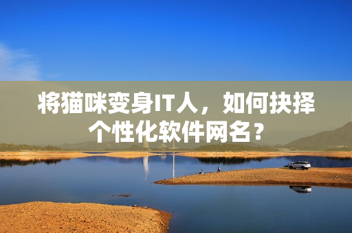将猫咪变身IT人，如何抉择个性化软件网名？
