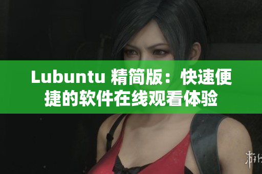Lubuntu 精简版：快速便捷的软件在线观看体验