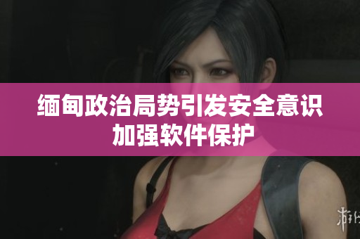 缅甸政治局势引发安全意识 加强软件保护