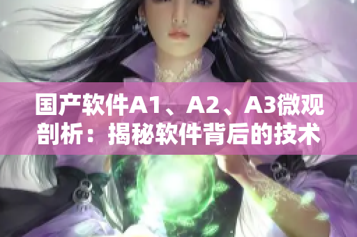 国产软件A1、A2、A3微观剖析：揭秘软件背后的技术秘密
