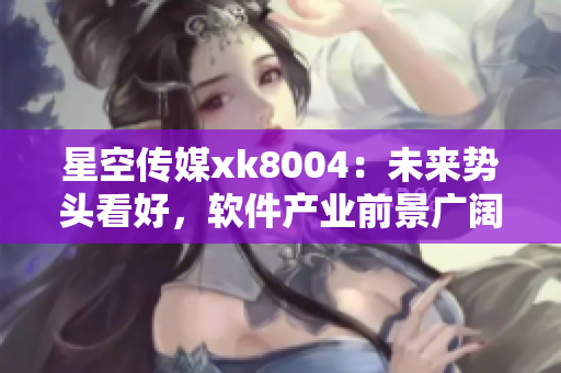星空传媒xk8004：未来势头看好，软件产业前景广阔