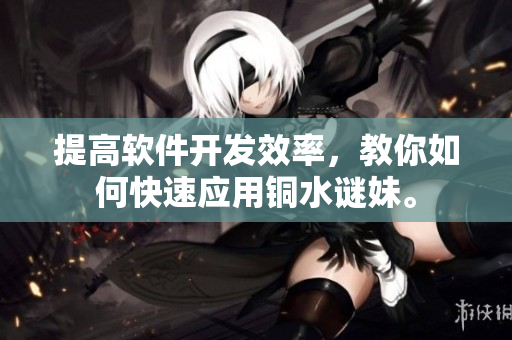 提高软件开发效率，教你如何快速应用铜水谜妹。