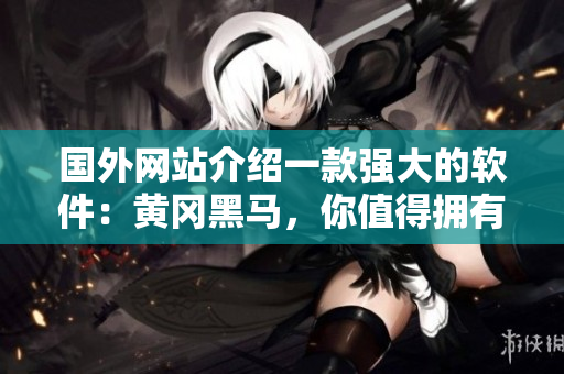 国外网站介绍一款强大的软件：黄冈黑马，你值得拥有！