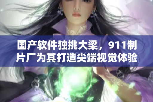 国产软件独挑大梁，911制片厂为其打造尖端视觉体验
