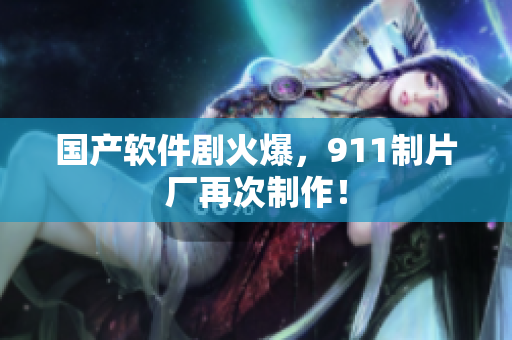 国产软件剧火爆，911制片厂再次制作！