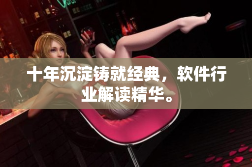 十年沉淀铸就经典，软件行业解读精华。
