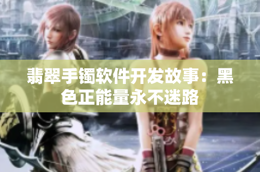 翡翠手镯软件开发故事：黑色正能量永不迷路
