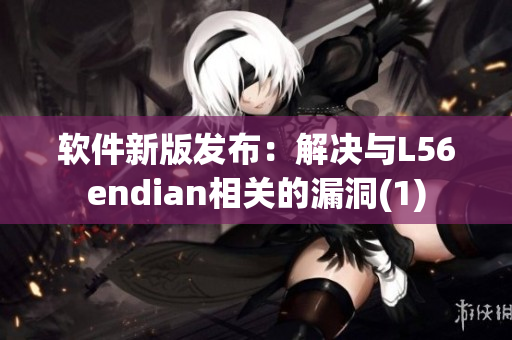 软件新版发布：解决与L56endian相关的漏洞(1)