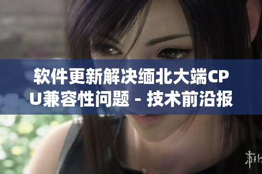 软件更新解决缅北大端CPU兼容性问题 - 技术前沿报道(1)