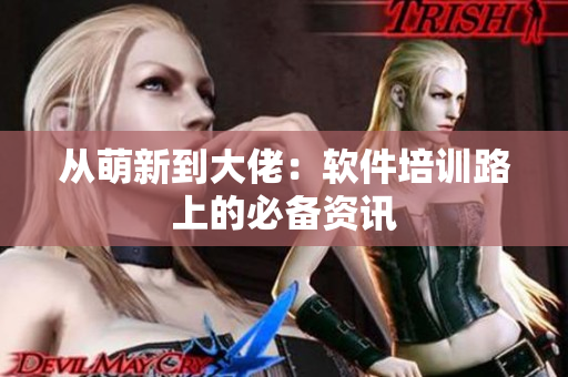 从萌新到大佬：软件培训路上的必备资讯