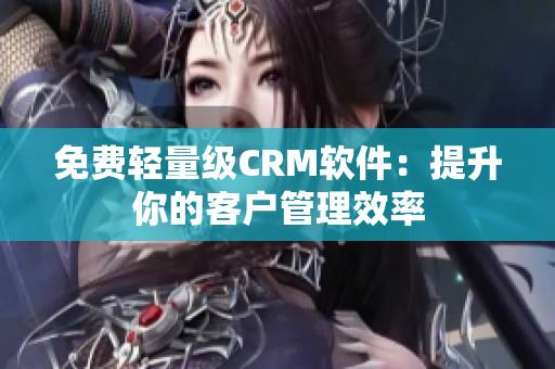 免费轻量级CRM软件：提升你的客户管理效率