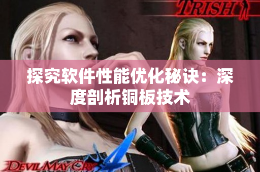 探究软件性能优化秘诀：深度剖析铜板技术