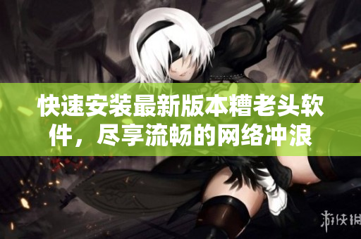 快速安装最新版本糟老头软件，尽享流畅的网络冲浪