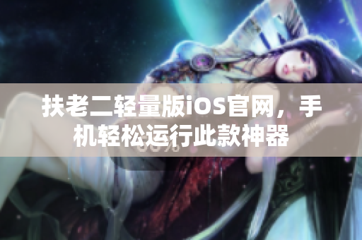 扶老二轻量版iOS官网，手机轻松运行此款神器