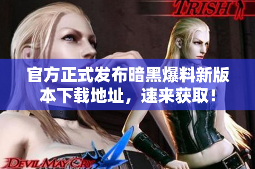 官方正式发布暗黑爆料新版本下载地址，速来获取！