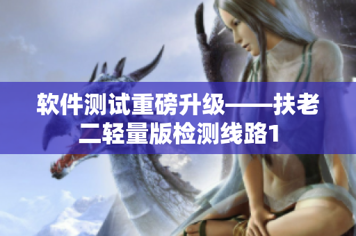 软件测试重磅升级——扶老二轻量版检测线路1