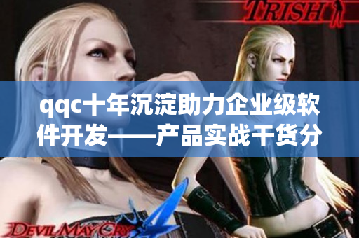 qqc十年沉淀助力企业级软件开发——产品实战干货分享