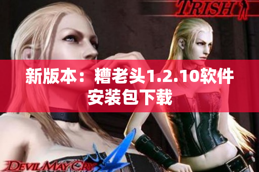 新版本：糟老头1.2.10软件安装包下载