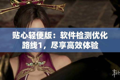 贴心轻便版：软件检测优化路线1，尽享高效体验