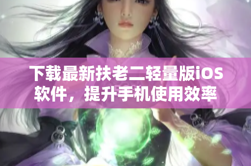 下载最新扶老二轻量版iOS软件，提升手机使用效率